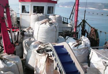 биг бегс big bag sea transport